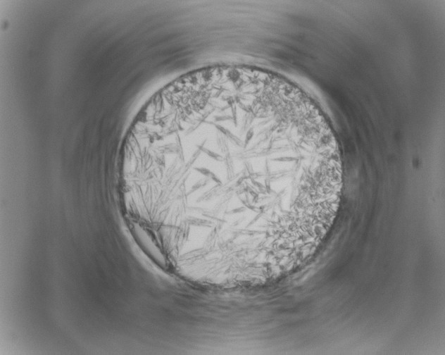 X0000064730903200603131250