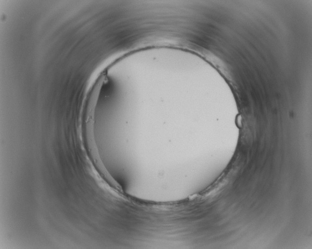 X0000064730904200603131250