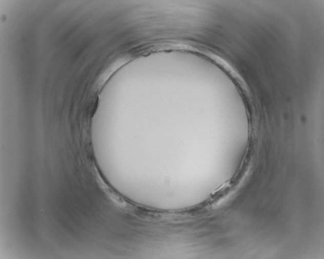 X0000064730905200603131250