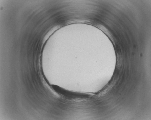 X0000064730906200603131250