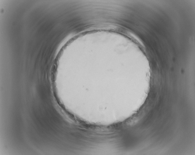 X0000064730907200603131250