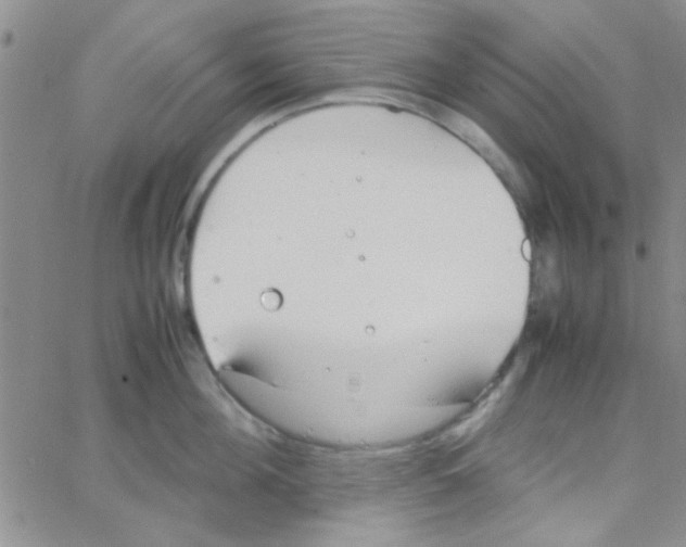 X0000064730908200603131250