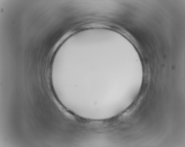 X0000064730909200603131250