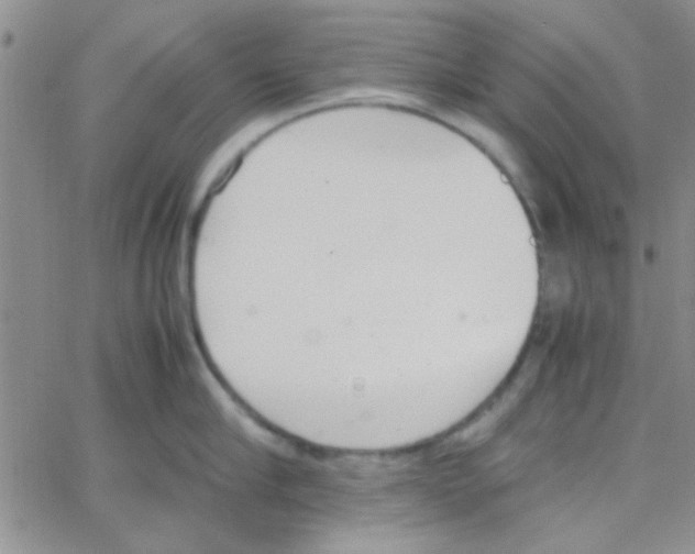 X0000064730910200603131250