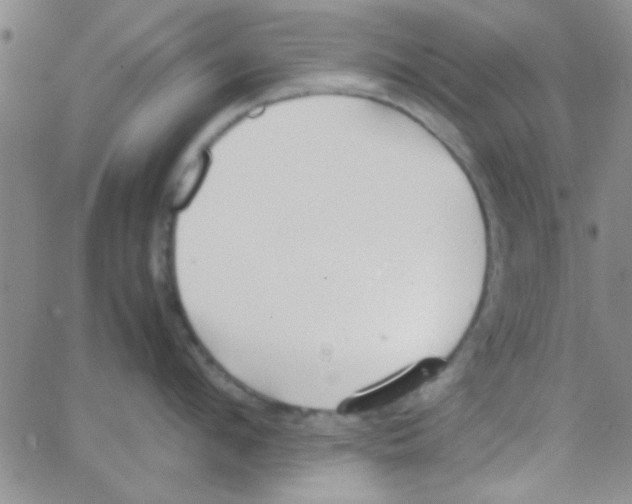 X0000064730912200603131250