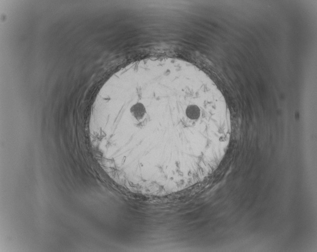 X0000064730913200603131249