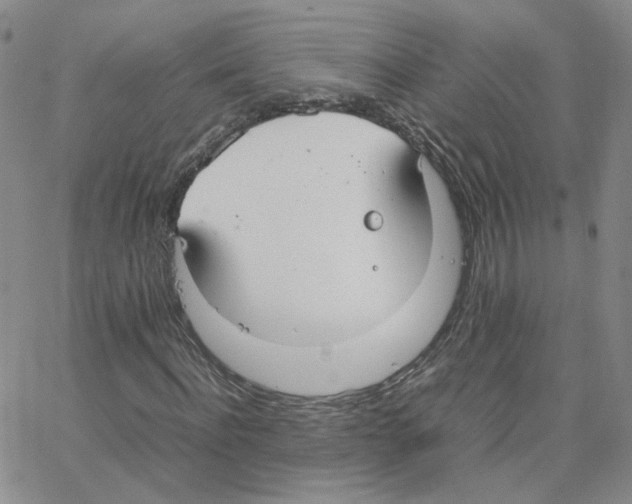 X0000064730916200603131249