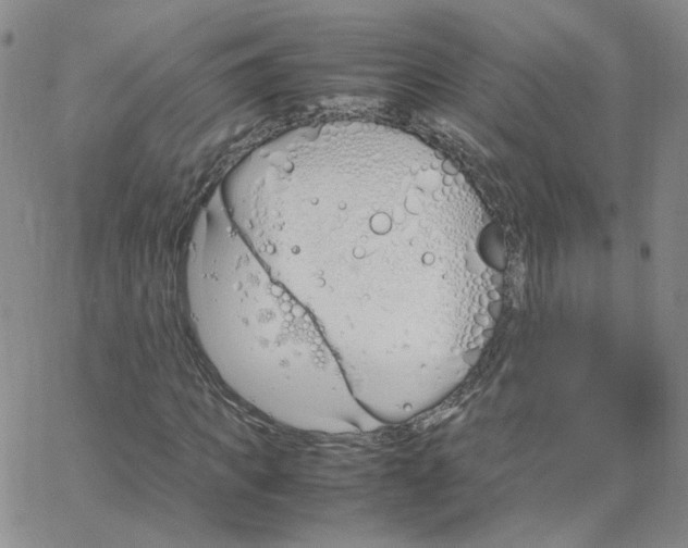 X0000064730917200603131249