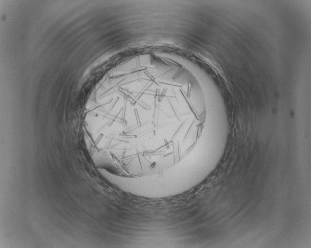 X0000064730920200603131249