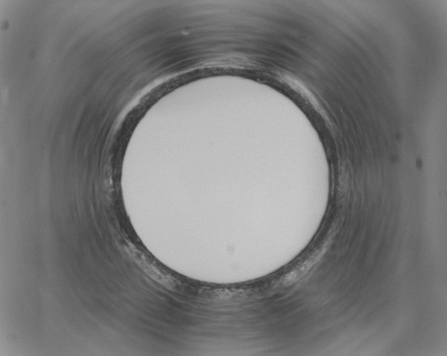 X0000064730923200603131249