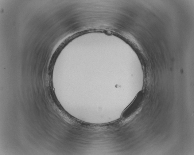 X0000064730924200603131249