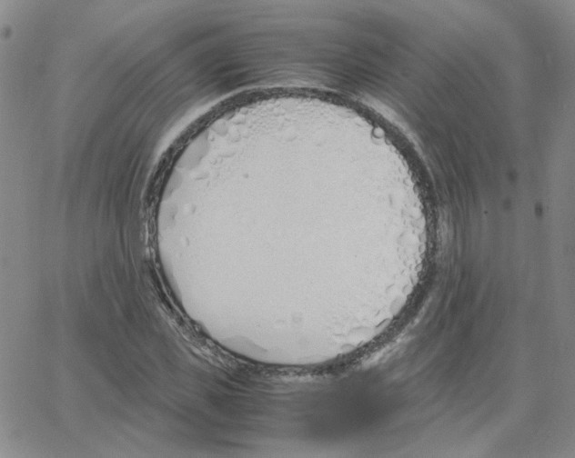 X0000064730925200603131249