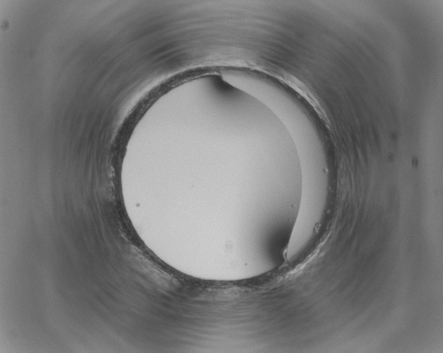 X0000064730926200603131249