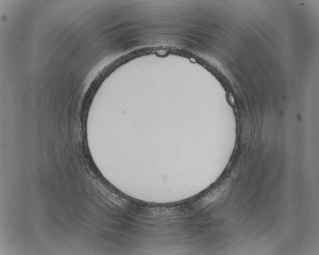 X0000064730927200603131249