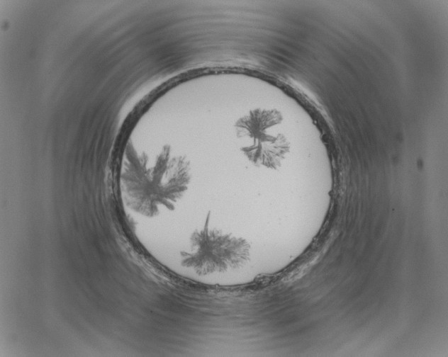 X0000064730928200603131249