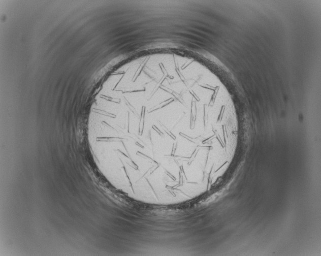 X0000064730929200603131249