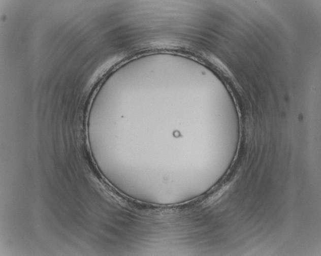 X0000064730930200603131249