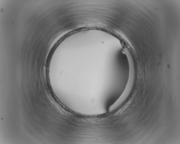 X0000064730932200603131249