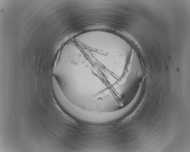 X0000064730937200603131250