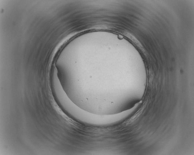 X0000064730939200603131250