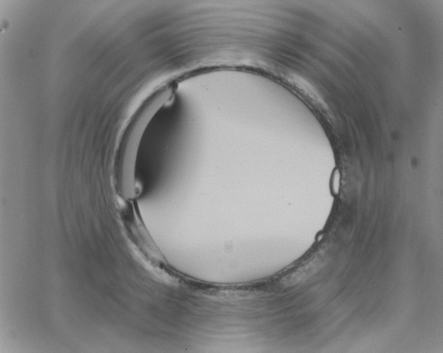 X0000064730942200603131250