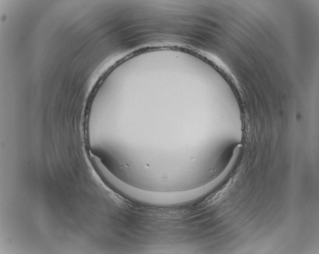 X0000064730943200603131250