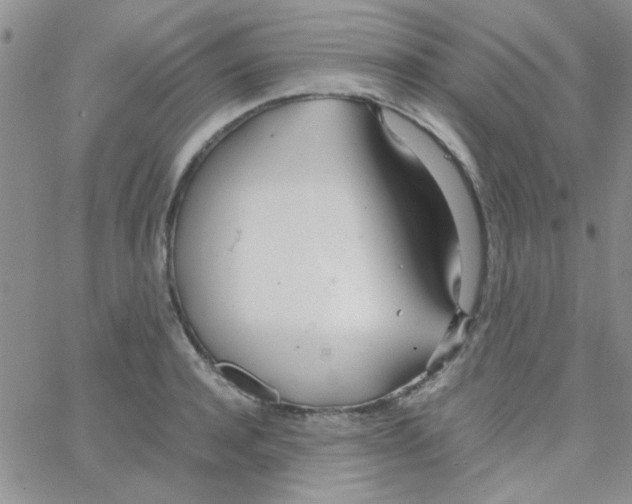 X0000064730944200603131250