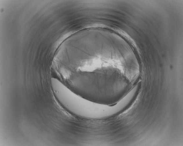 X0000064730945200603131250