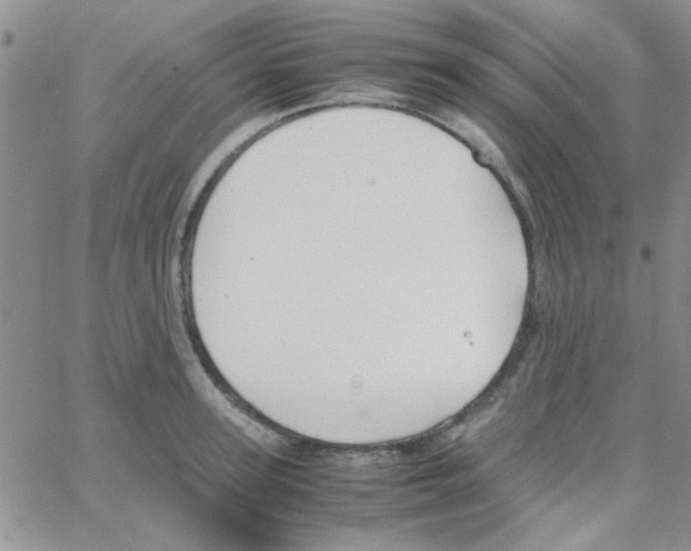 X0000064730947200603131250