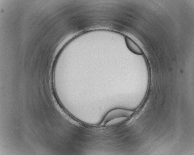 X0000064730949200603131250