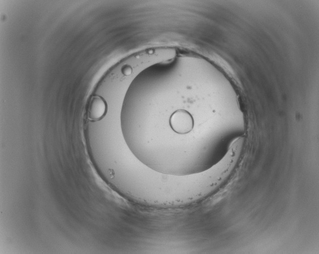 X0000064730950200603131250