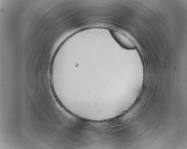 X0000064730951200603131250