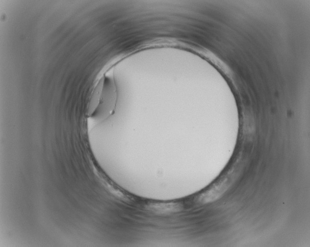 X0000064730953200603131250