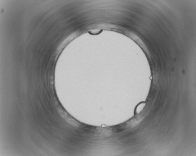 X0000064730954200603131250