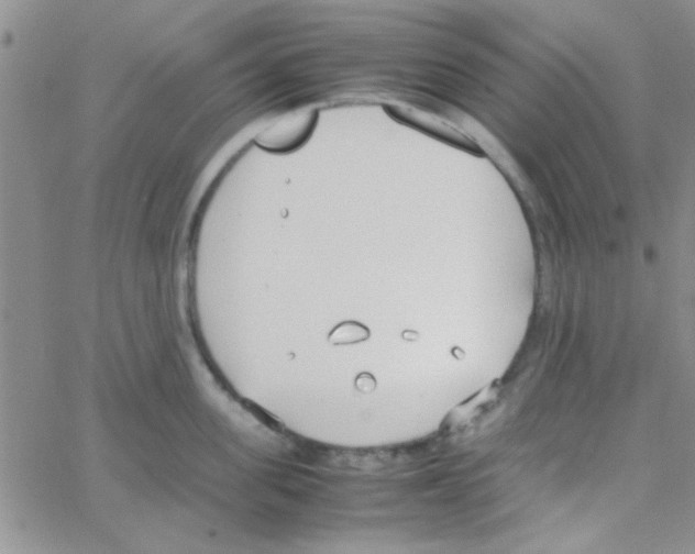 X0000064730955200603131250