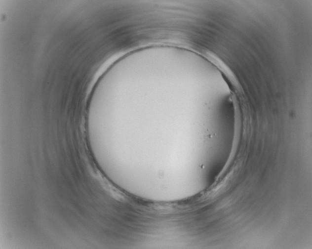 X0000064730956200603131250