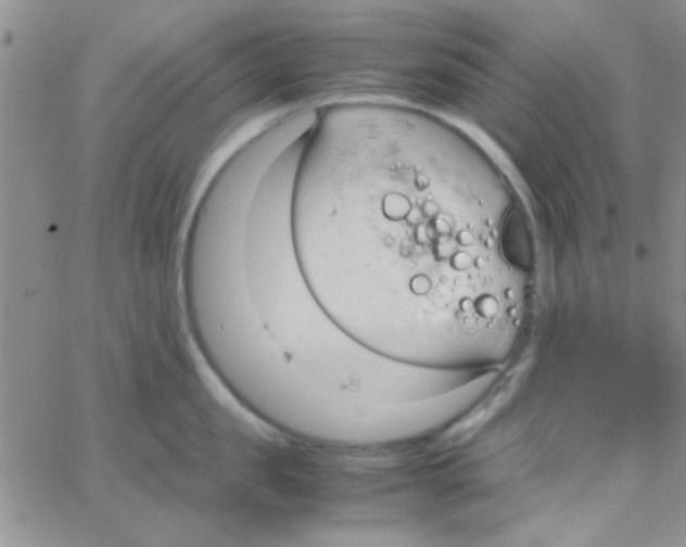 X0000064730957200603131250