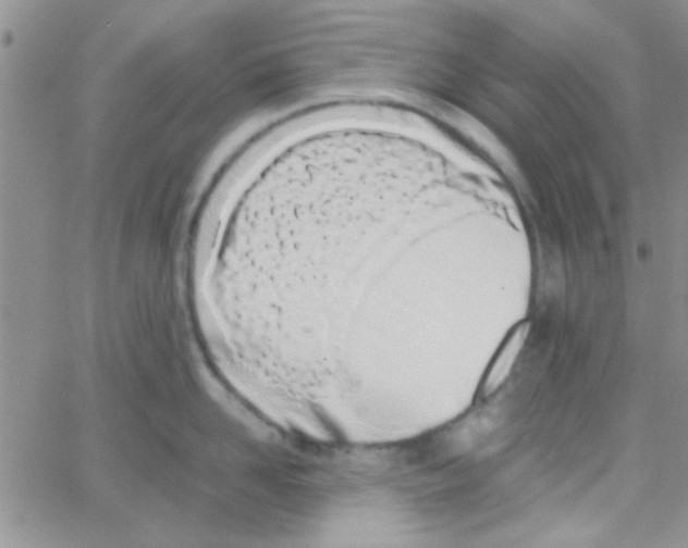 X0000064730958200603131250