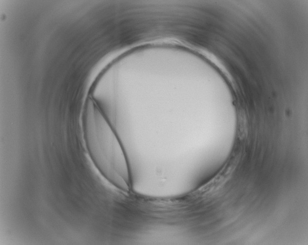 X0000064730959200603131250