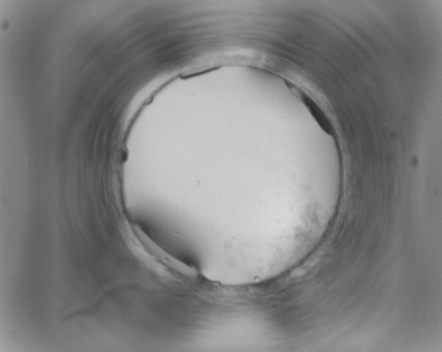 X0000064730960200603131250