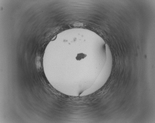 X0000064730962200603131249