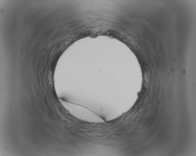 X0000064730963200603131249