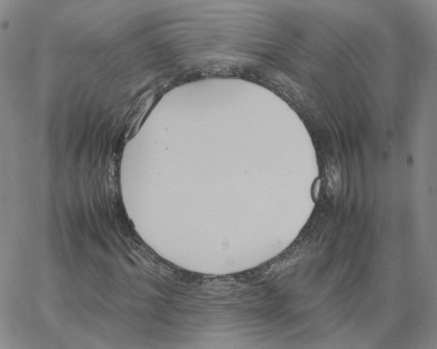 X0000064730964200603131249