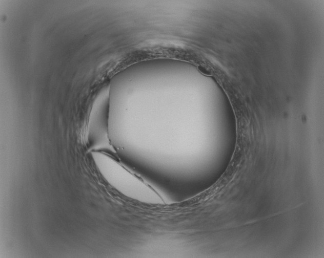 X0000064730965200603131249