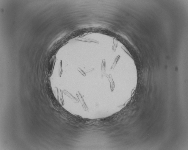 X0000064730967200603131249