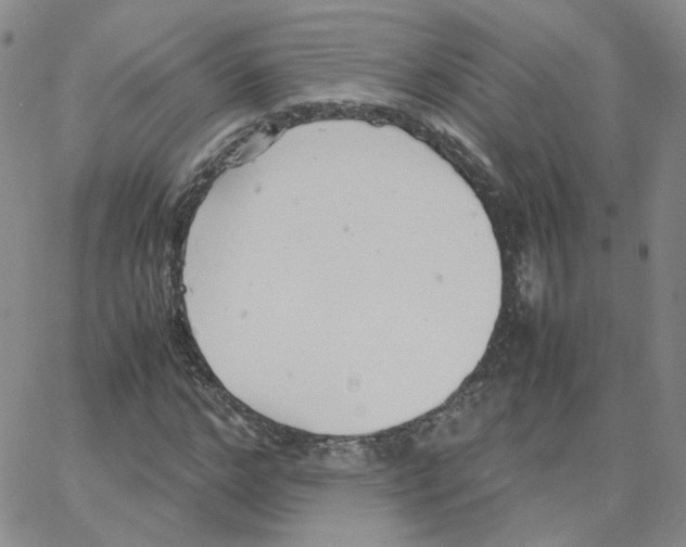 X0000064730968200603131249