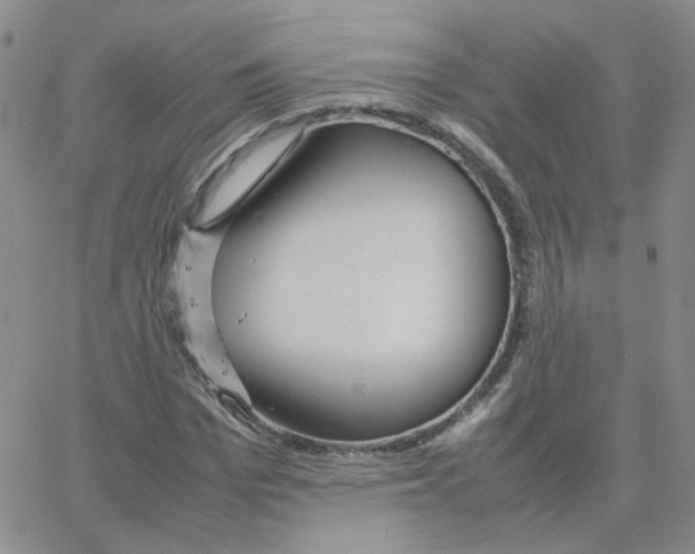 X0000064730969200603131249