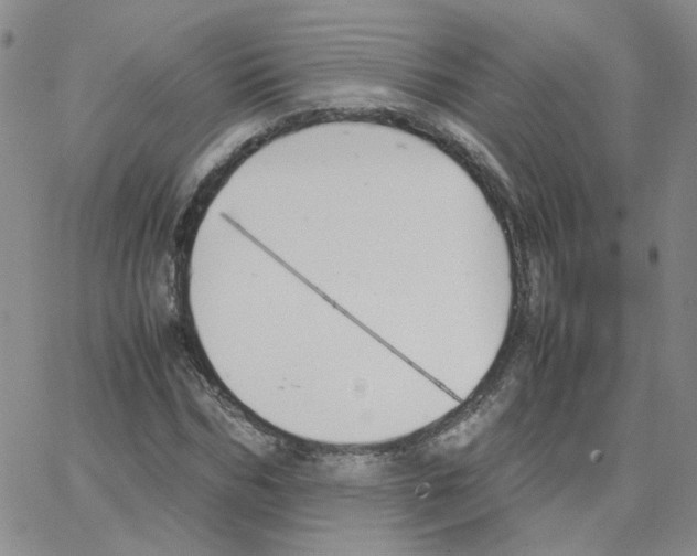 X0000064730970200603131249