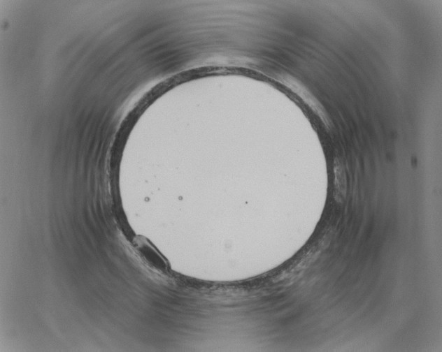 X0000064730972200603131249