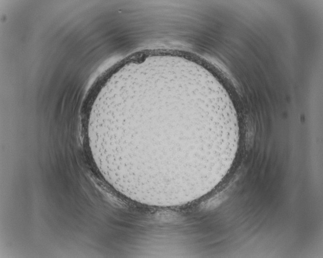 X0000064730974200603131249